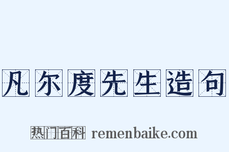凡尔度先生造句是什么意思的图片